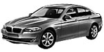 BMW F10 P0C00 Fault Code